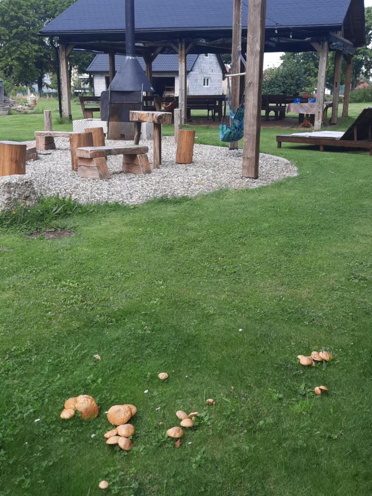 Harcowka Villa Złoty Stok Dış mekan fotoğraf